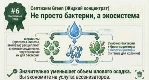 Как правильно использовать «Септизим» для максимального результата
